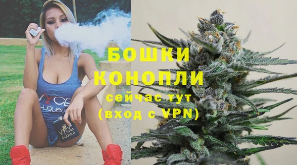 твердый Кодинск
