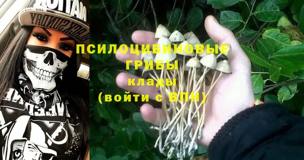 винт Козельск
